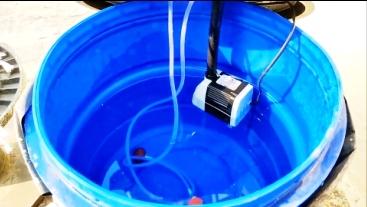 submersible pump for hydroponics