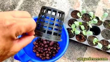 3 inch net cup for cabbage seedlings