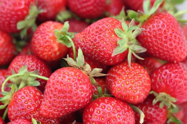 strawberries as best plants in hydroponics